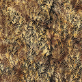 Thorns - Brown Tea  Island Batik - Simply Southwest