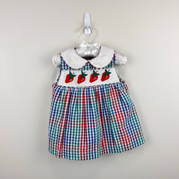 Vintage Samara Seersucker Plaid Strawberry Dress 18 Months